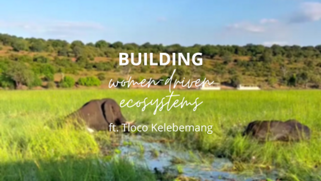 Building women-driven ecosystems with Tloco Kelebemang
